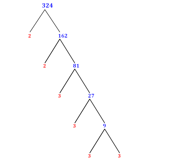 prime-factorization-of-324-with-a-factor-tree-mathondemand